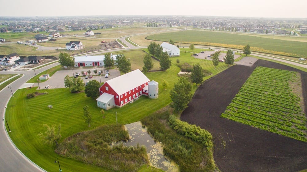 Office Vibes Rocking Horse farm