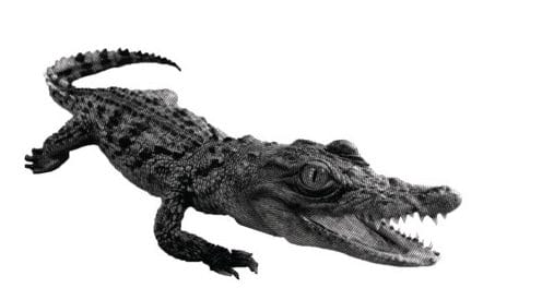 Moorhead's Exchange Station