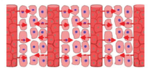 25 business lessons from Gary Tharaldson