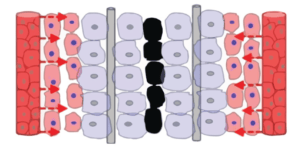 25 business lessons from Gary Tharaldson