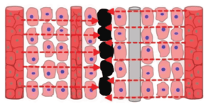 25 business lessons from Gary Tharaldson