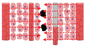 25 business lessons from Gary Tharaldson