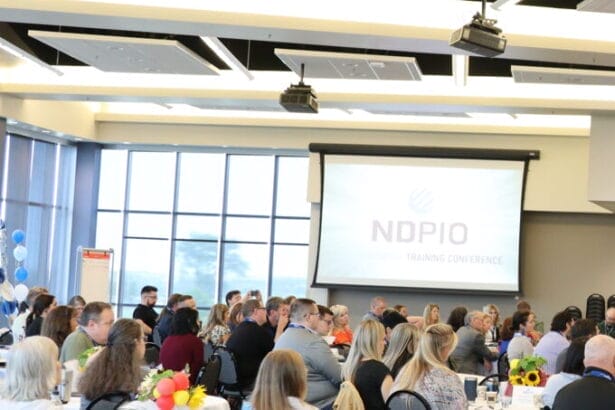 Nonprofit of the Month NDPIO Association